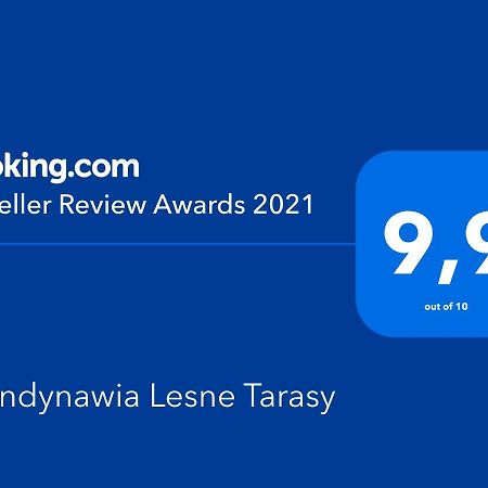 Skandynawia Lesne Tarasy 드지우노웨크 외부 사진